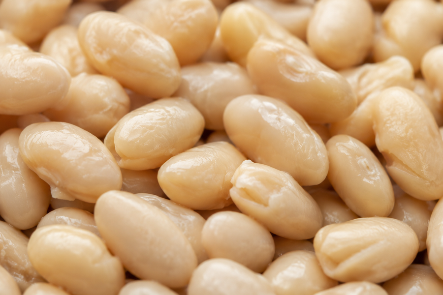 Biona Organic Cannellini Beans extreme close-up