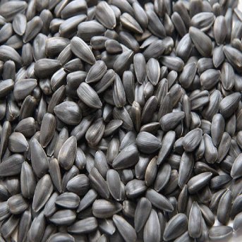 Infinity Foods Bulk Organic Black Sesame Seeds