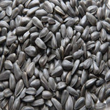 Infinity Foods Bulk Organic Black Sesame Seeds