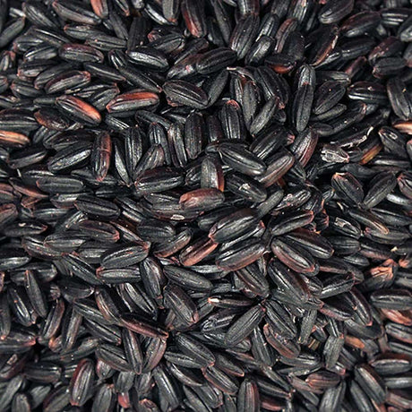 Infinity Foods Bulk Organic Black Rice