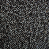 Organic blue poppy seeds extreme close-up