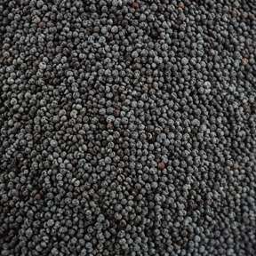 Organic blue poppy seeds extreme close-up