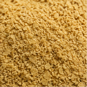 Brewers yeast 01-macro