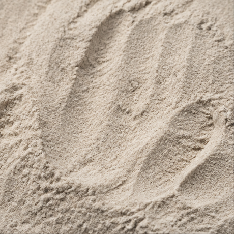 Organic buckwheat flour extreme close-up
