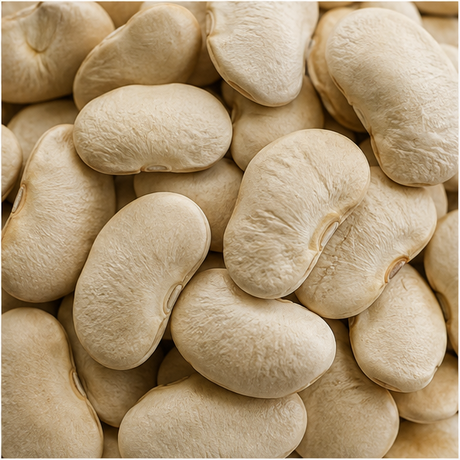 Organic dried butter beans extreme close-up