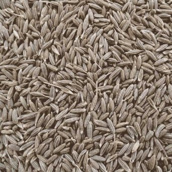 Caraway Seeds