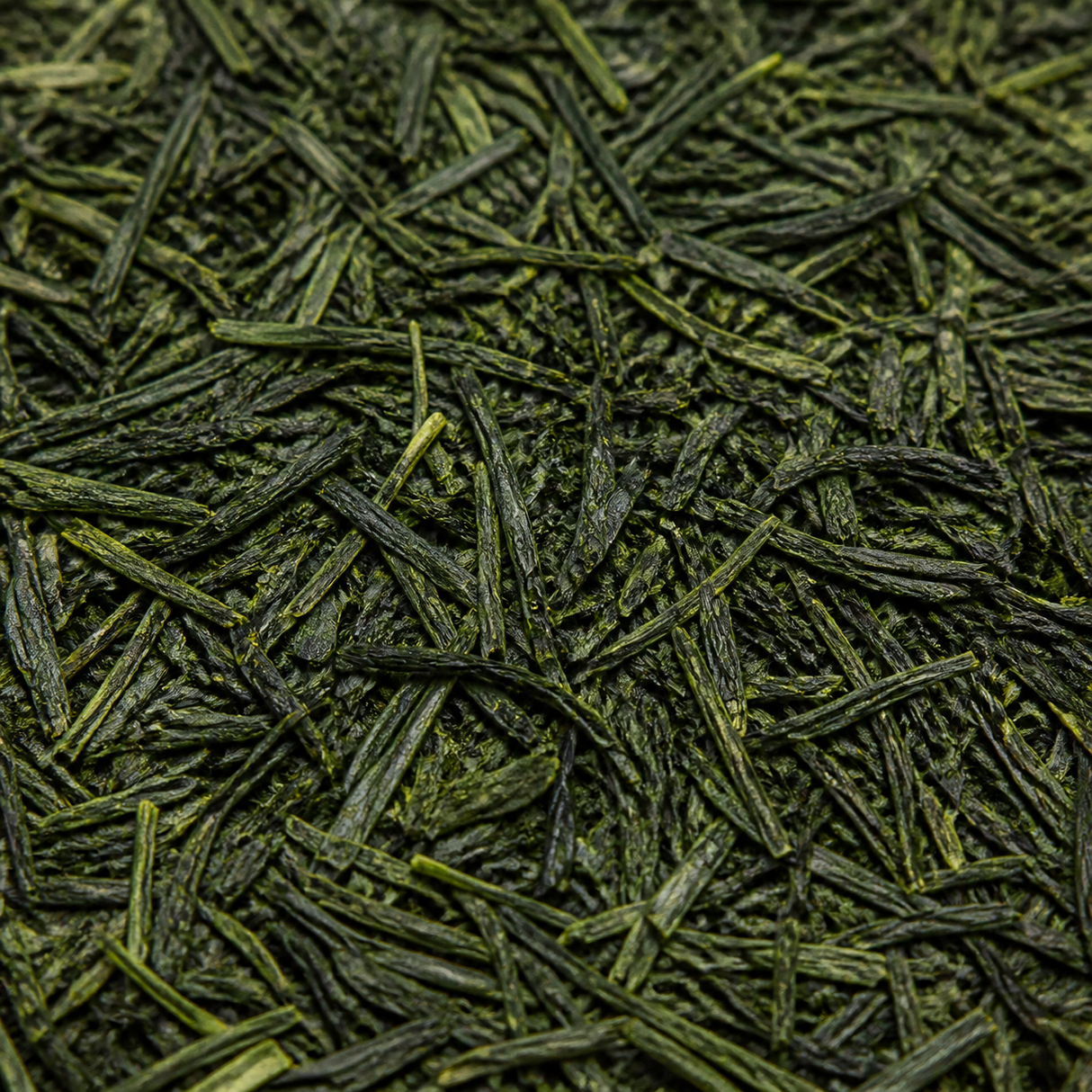 Extreme close-up of organic Sencha green tea leaves