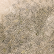 Extreme close-up of unbleached Clipper decaf green tea bag