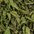 Clipper Organic Peppermint Infusion extreme close-up