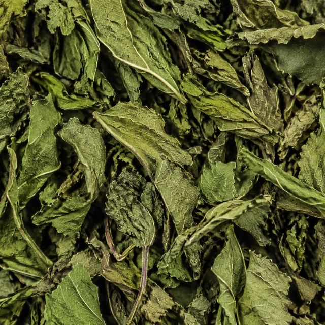 Clipper Organic Peppermint Infusion extreme close-up