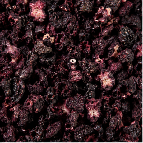 Freeze dried elderberry nibs extreme close-up