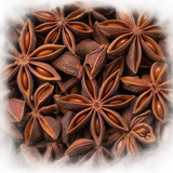 Whole star anise macro