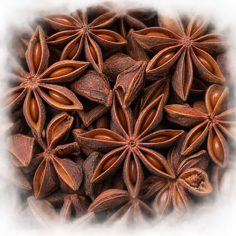 Whole star anise macro