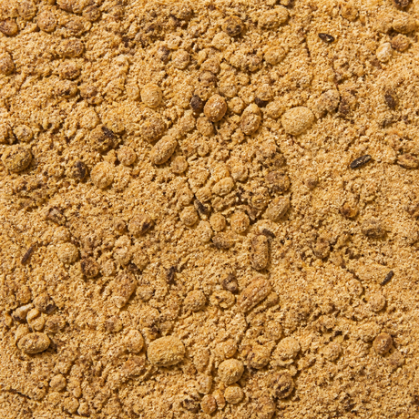 Reishi chai latte powder macro