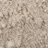 Wholemeal rye flour macro