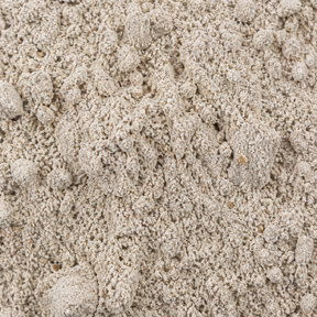 Wholemeal rye flour macro
