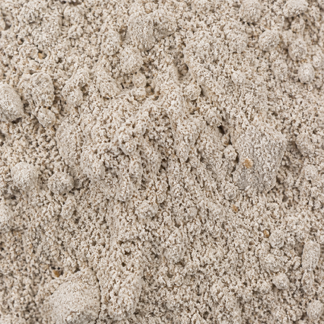 Wholemeal rye flour macro