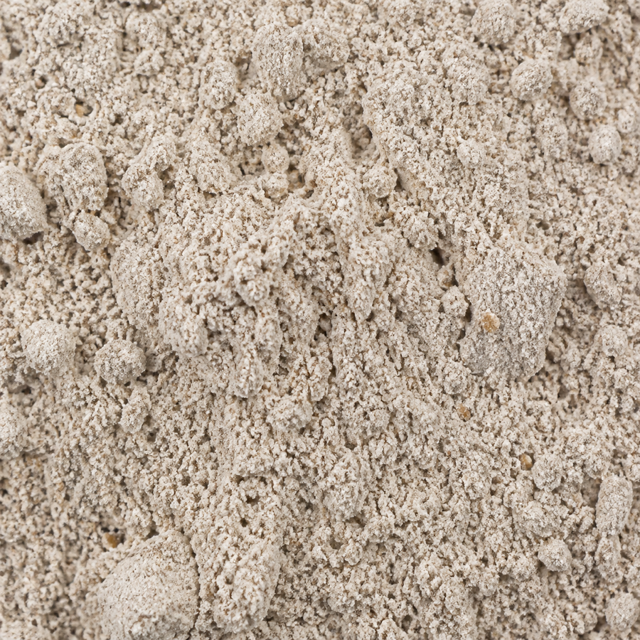 Wholemeal rye flour macro