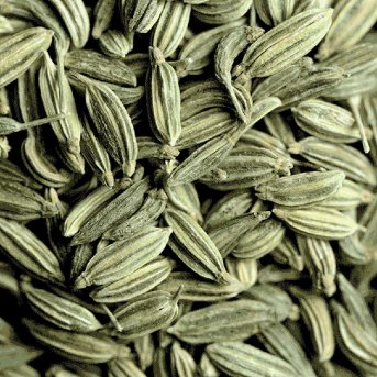Organic Fennel Seeds