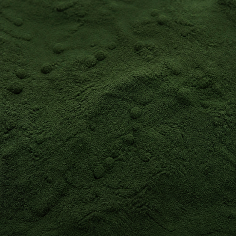Extreme close-up of fine organic chlorella powder