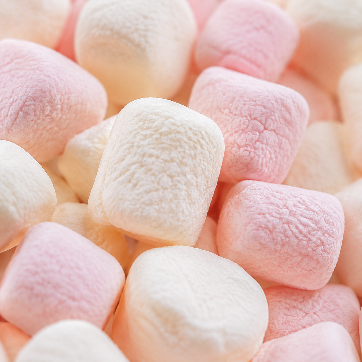 Extreme close-up of mini vegan mallows