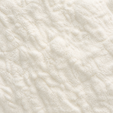 Freee xanthan gum extreme close-up