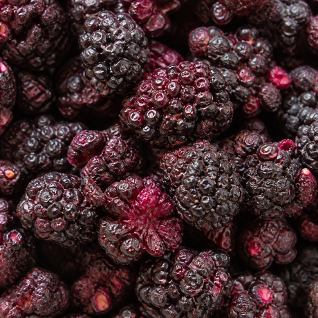 Extreme close-up of freeze-dried blackberries