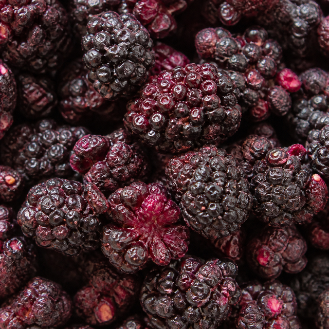 Extreme close-up of freeze-dried blackberries