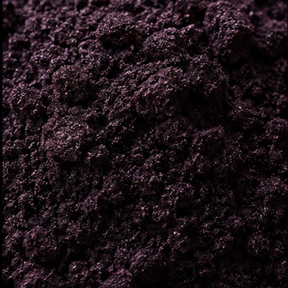 Freeze dried blackcurrant powder extreme close-up