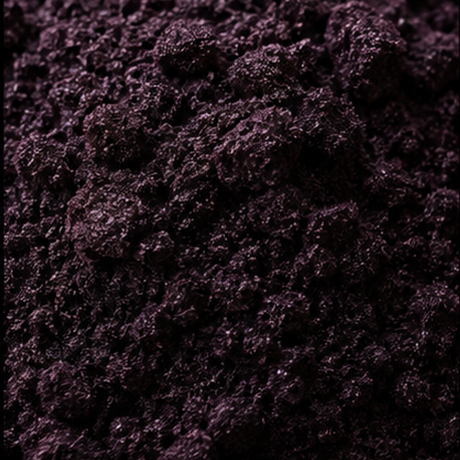 Freeze dried blackcurrant powder extreme close-up