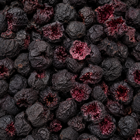 Freeze Dried Blackcurrants - extreme close-up
