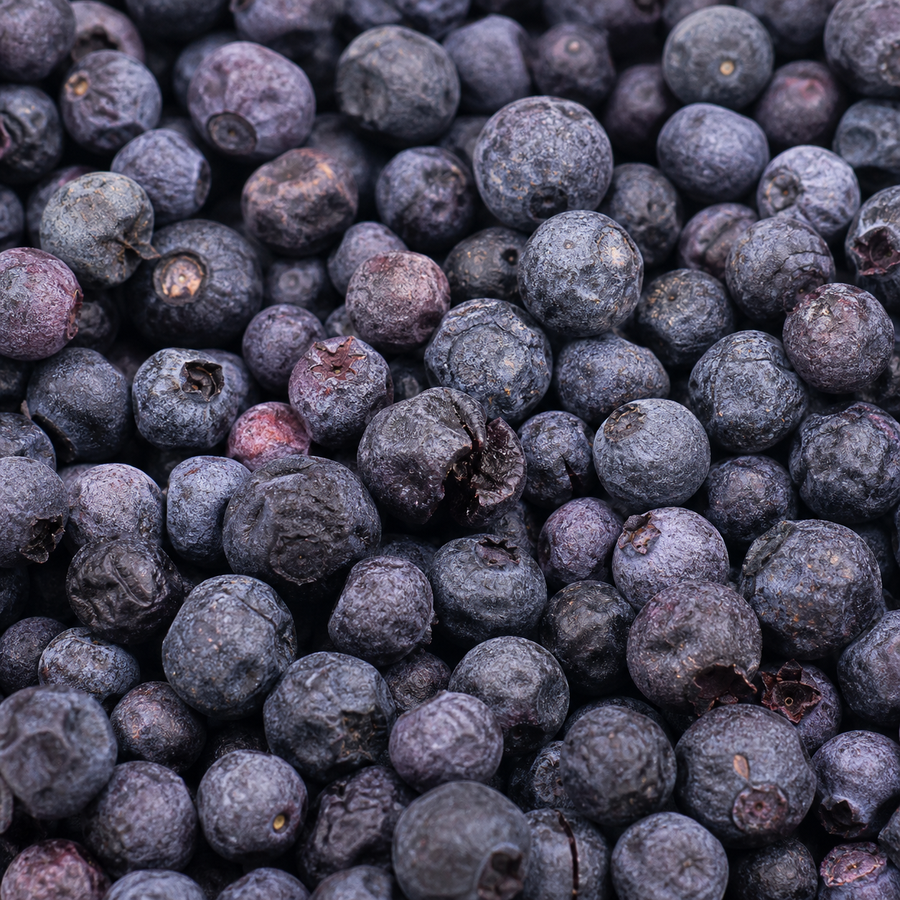 Freeze-dried blueberries extreme close-up