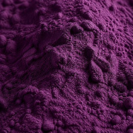 Freeze Dried Blueberry Powder — ingredient close-up