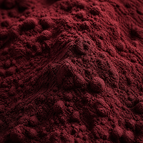 Freeze Dried Cranberry Powder — ingredient close-up
