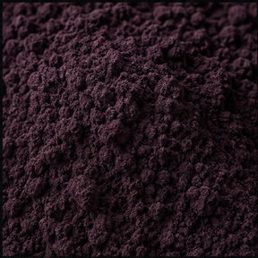 Freeze dried elderberry powder close-up