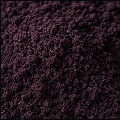 Freeze dried elderberry powder close-up