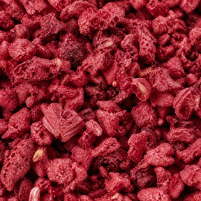 Freeze Dried Raspberry Nibs — extreme close-up