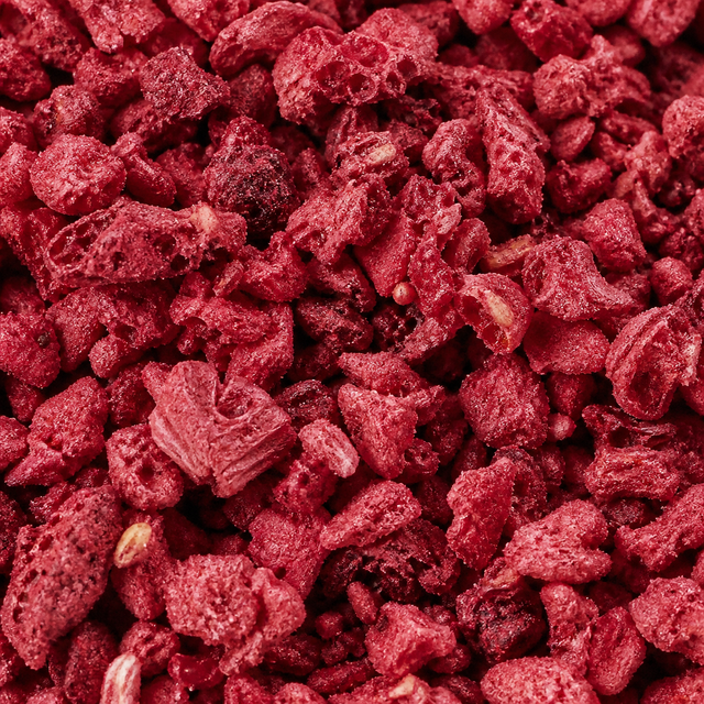 Freeze Dried Raspberry Nibs — extreme close-up