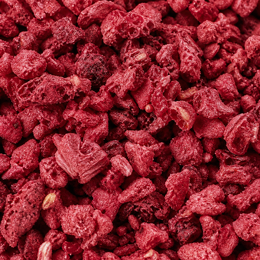 Freeze Dried Raspberry Nibs — extreme close-up