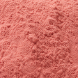 Extreme close-up of freeze-dried rhubarb powder