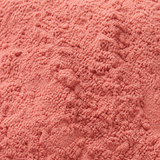Extreme close-up of freeze-dried rhubarb powder