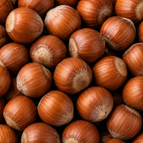Organic Hazelnuts extreme close-up