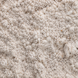 Extreme close-up of organic buckwheat flour