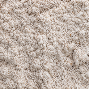 Extreme close-up of organic buckwheat flour