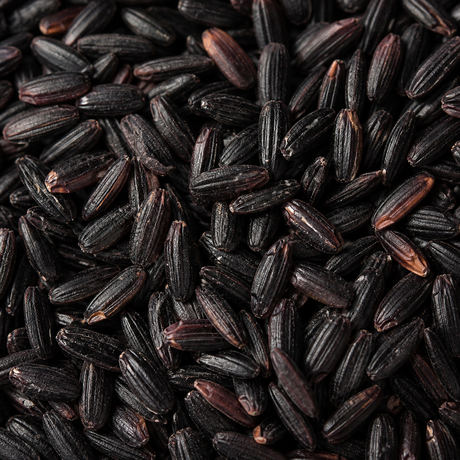 Infinity Foods Bulk Organic Black Rice extreme close-up