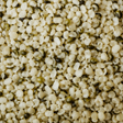 Infinity Foods Bulk Organic Hemp Seeds Hulled — ingredient-only macro hero