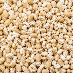 Infinity Foods Bulk Organic Pinhead Oats — ingredient close-up