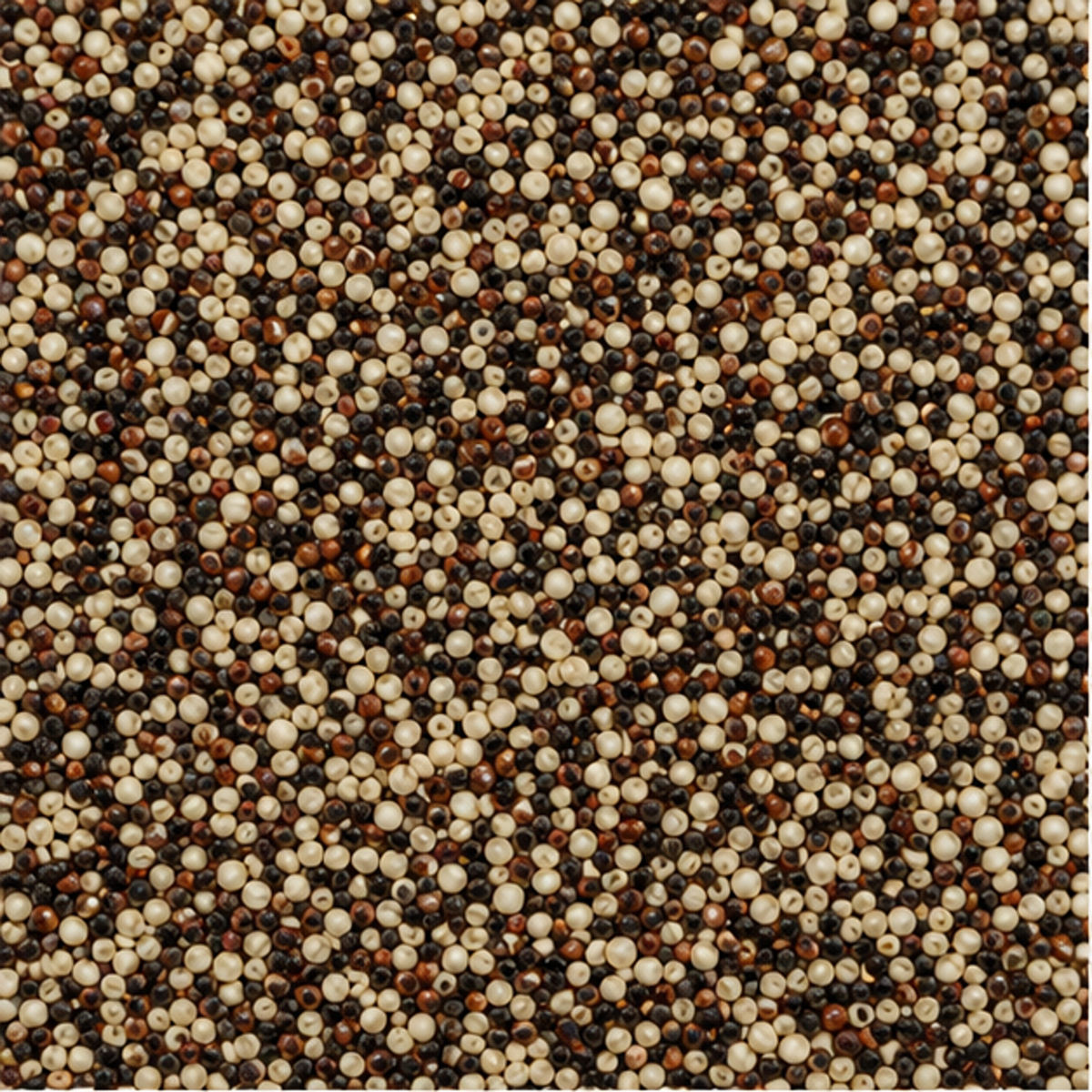 Infinity Foods Bulk Organic Tri-Colour Quinoa — ingredient-only macro hero
