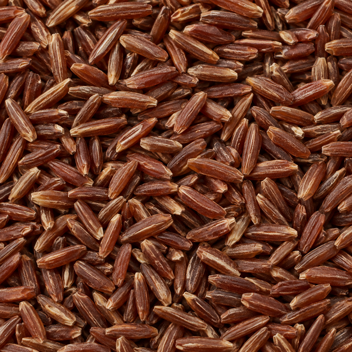 Infinity Foods Organic Camargue Red Rice macro close-up