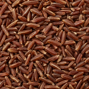 Infinity Foods Organic Camargue Red Rice macro close-up
